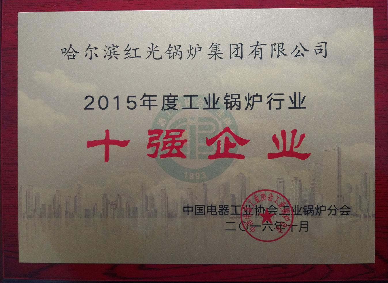 2015年度工業鍋爐年度十強